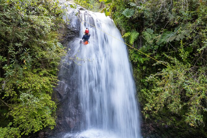 Half day Canyoning activity in Pucón - Should You Book Half-Day Canyoning in Pucón?