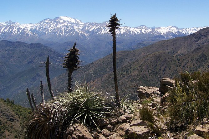 Half-Day Private Andes Hiking Tour from Santiago, carbon neutral. - The mountain route: three hours up, two hours down