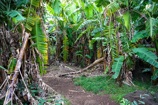 Half Day Private Tour: Caves and Volcanic Refuges - Ana Te Pahu, Rapa Nui’s great lava cave