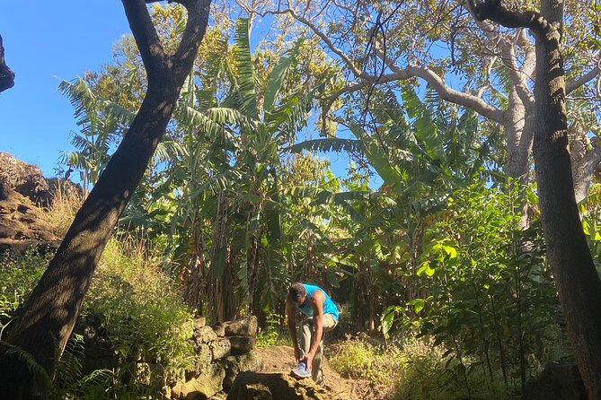 Half Day Private Tour: Caves and Volcanic Refuges - What the private format adds
