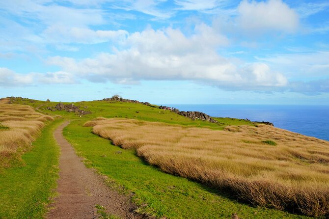 Half Day Private Tour: Rano Kau and Orongo the City of Kings - The guide can make or break Orongo