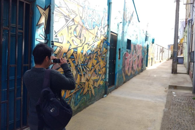 Half Day Private Walking Tour with a Native Guide & Public Transport - Starting at your hotel in Valparaíso or Viña del Mar