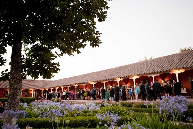 Half day Santa Rita and Undurraga Winery Tasting Tour in Santiago - Viña Undurraga: vineyards, grape gardens, and cellars