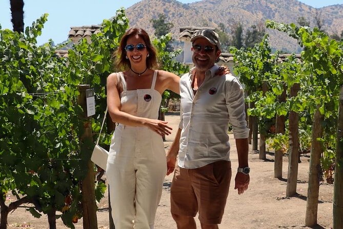 Half day Santa Rita and Undurraga Winery Tasting Tour in Santiago - Who should book this winery tour?