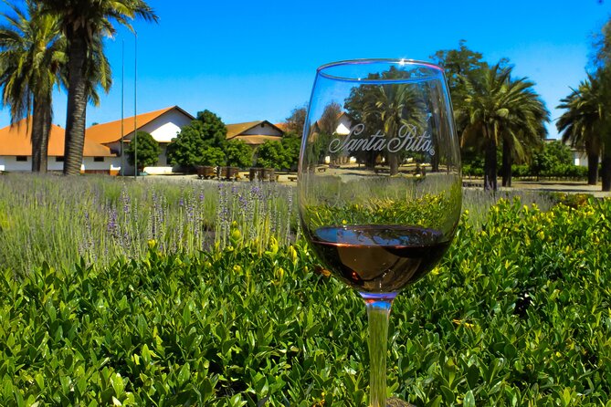 Half Day Santa Rita Vineyard Tour - Key Things to Know Before You Go