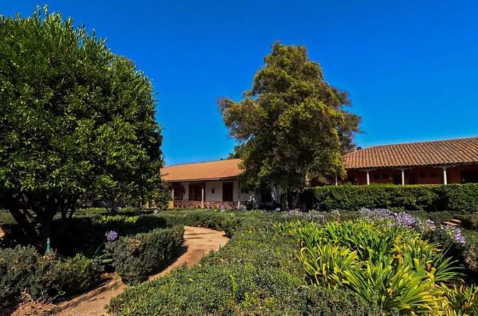 Half Day Santa Rita Vineyard Tour - Is $75 a Fair Price?