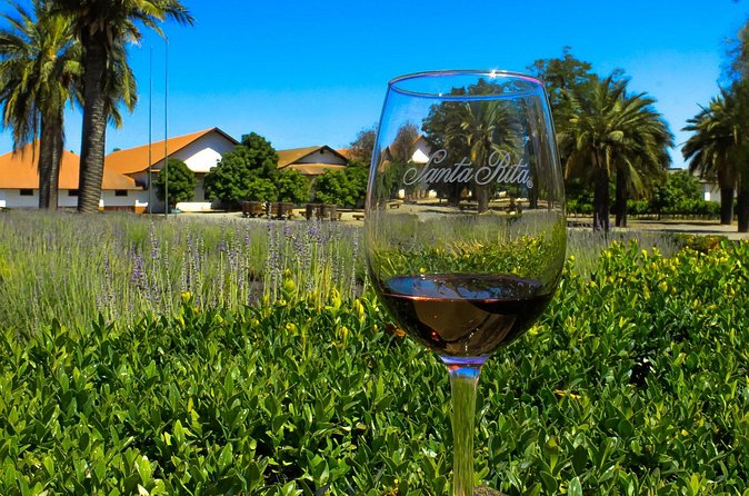 Half Day Santa Rita Vineyard Tour - Service, Language, and Group Size