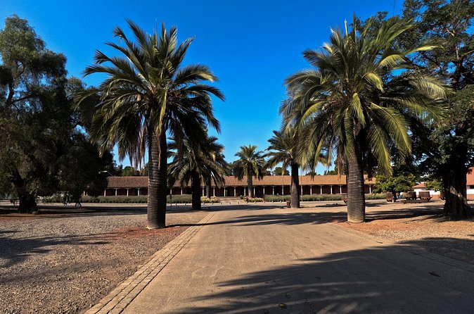 Half Day Santa Rita Vineyard Tour - Who Will Enjoy This Santa Rita Visit?