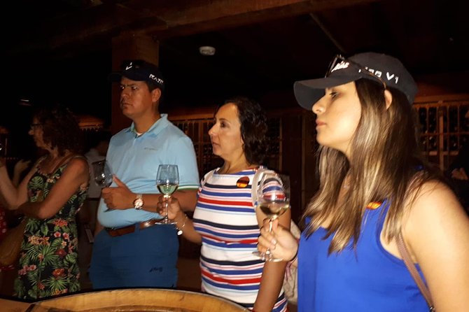 Half-Day Small-Group Santa Rita Vineyard Tour - What the $51.50 price really covers