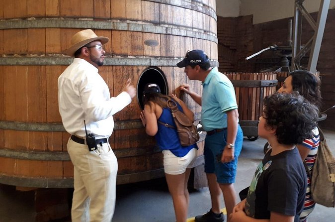 Half-Day Small-Group Santa Rita Vineyard Tour - Guides, language, and transport quality