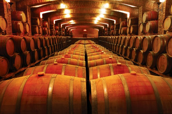 Half-Day Small Group Undurraga Vineyard Tour - Winetasting Included - Who will enjoy this Undurraga visit?