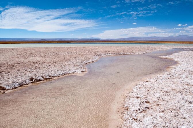 Half-Day Tour to Laguna Cejar - Key points before you book