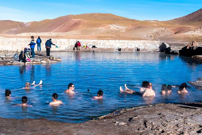 Half-Day Tour to the Tatio Geysers - Flamingos and Andean birds at Vado del Río Putana