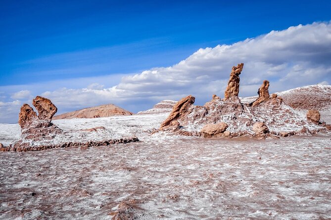 Half-Day Tour to the Valley of the Moon - What the guide and driver add