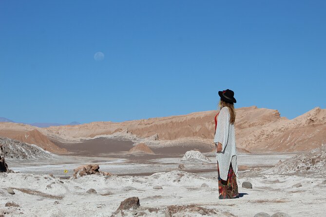 Half-Day Tour to the Valley of the Moon - Who should choose this half-day outing?
