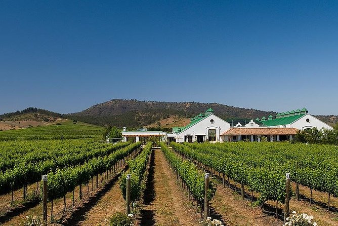 Half Day Trip to Casas del Bosque Vineyard from Santiago - Wine Tasting Included - Arriving at the 235-hectare vineyard