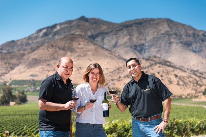Haras de Pirque Private Vineyard Tour and Wine Tastings - The main terrace and the Pirque Valley views