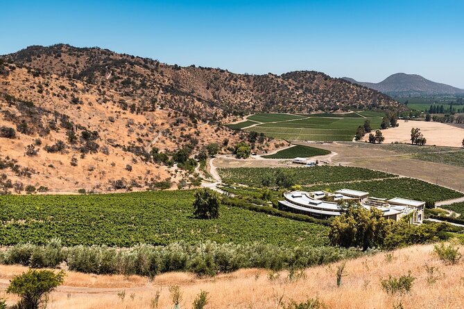 Haras de Pirque Private Vineyard Tour and Wine Tastings - Who will get the most from this vineyard visit