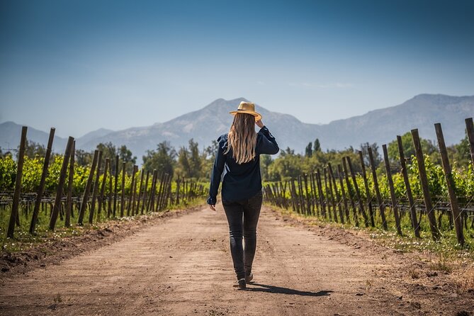 Haras de Pirque Private Vineyard Tour and Wine Tastings - Is $149 a fair price?