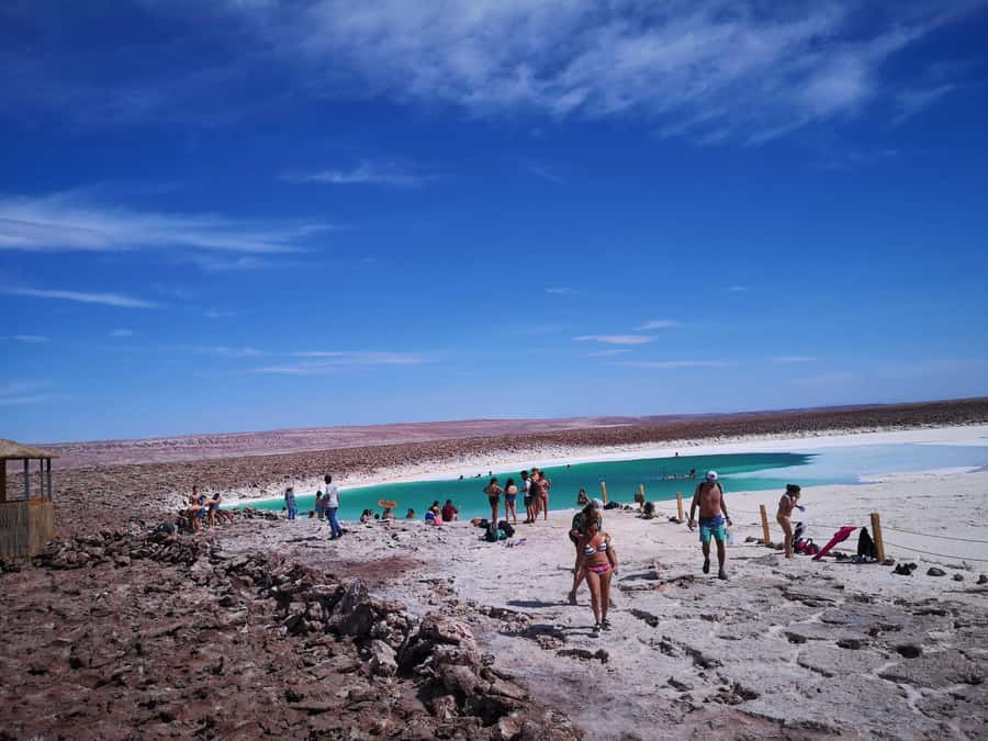 HIDDEN LAGOONS OF BALTINACHE - Why the Baltinache lagoons are worth your time