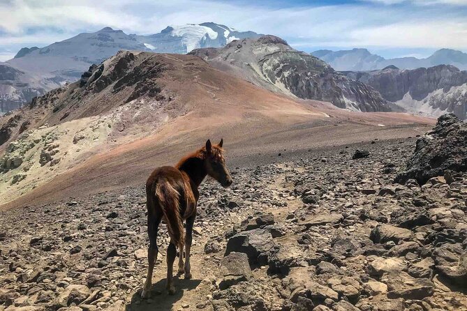 High Mountain Adventure: Full Day Private Tour from Santiago - Who should choose Yerba Loca and who should choose Pintor