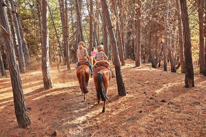 Hiking Mauco Hill & HorseRide-Ritoque Beach&Dunes From VALPARAISO - Key points to know before you book