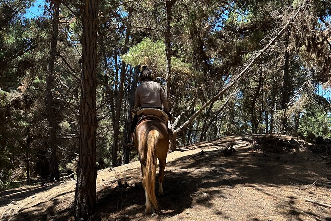 Hiking Mauco Hill & HorseRide-Ritoque Beach&Dunes From VALPARAISO - What this private Valparaiso day trip is really about