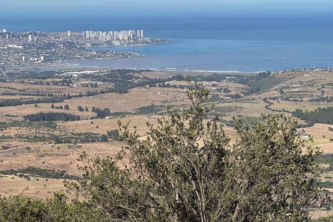 Hiking Mauco Hill & HorseRide-Ritoque Beach&Dunes From VALPARAISO - Timing, transport, and the shape of the day