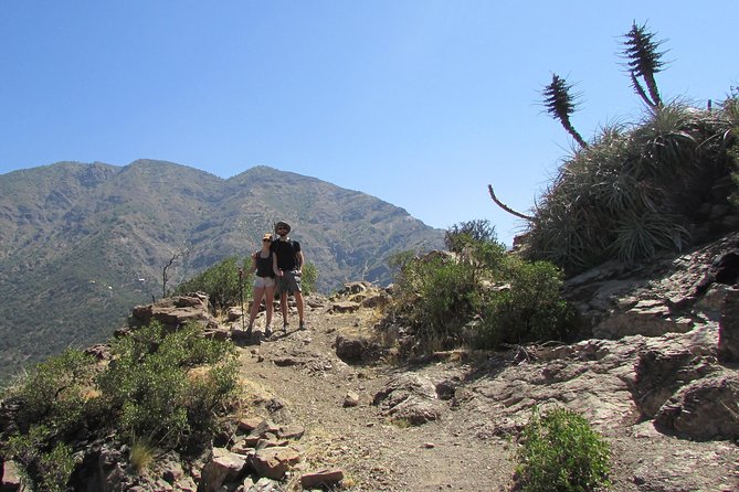 Hiking Tour in the Andes Mountains - Half Day Trip from Santiago - Learning the central Andes one plant at a time