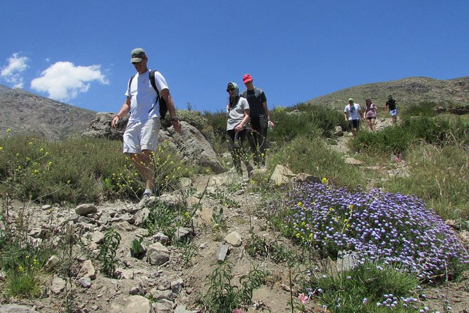 Hiking Tour in the Andes Mountains - Half Day Trip from Santiago - The mirador and the snow-capped Andes
