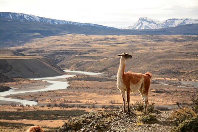 Hikking Porteria Lago Sarmiento - What the $136 price really covers