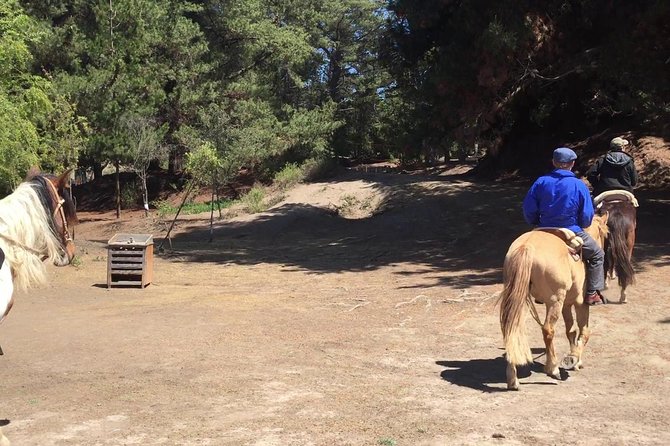 Horse Ride & BBQ in Ritoque Beach&Dunes FROM VALPO. Private Tour - Key points to know before you book