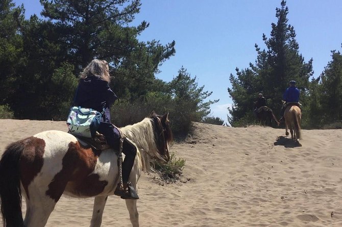 Horse Ride & BBQ in Ritoque Beach&Dunes FROM VALPO. Private Tour - Leaving Valparaíso for the Concón coast