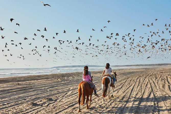 Horse Ride & BBQ in Ritoque Beach&Dunes FROM VALPO. Private Tour - What the riding is like for beginners