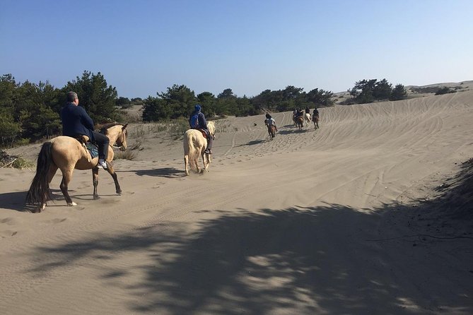 Horse Ride & BBQ in Ritoque Beach&Dunes FROM VALPO. Private Tour - Ritoque’s forest, dunes, beach, and wetland