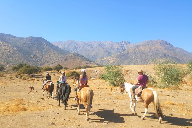 Horse Riding Tour in the Andes Santiago Chile - Key details before you book