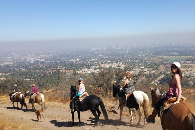 Horse Riding Tour in the Andes Santiago Chile - Meeting your Chilean horse at Huaso Tours