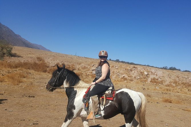 Horse Riding Tour in the Andes Santiago Chile - Who will enjoy this ride most