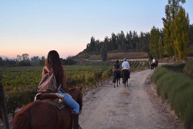 Horseback Private Wine Tour and Country Grill from Santiago - Breakfast in a Local Chilean Setting