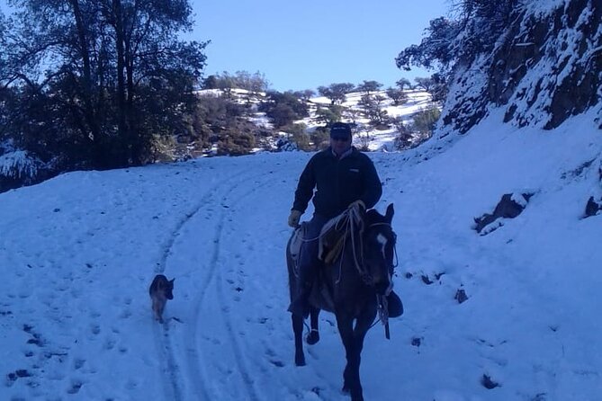 Horseback Riding in Santiago with Andes Views and Hotel Pickup - Key points at a glance