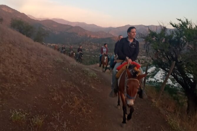 Horseback Riding in Santiago with Andes Views and Hotel Pickup - Los Andes trails and the first sight of the mountains