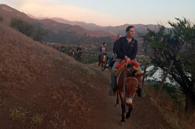 Horseback Riding in Santiago with Andes Views and Hotel Pickup - What the four-hour schedule really gives you