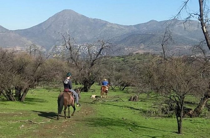 Horseback Riding in Santiago with Andes Views and Hotel Pickup - Is $229 a fair price?