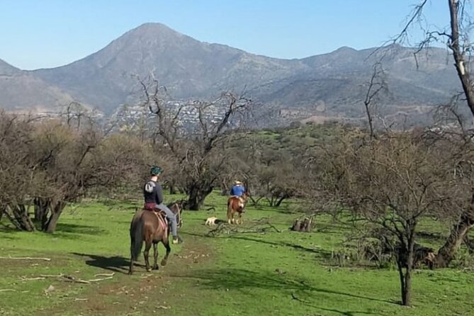 Horseback Riding in Santiago with Andes Views and Hotel Pickup - Who will enjoy this ride most?