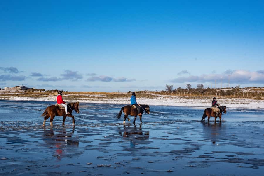 Horseback Riding near Strait of Magellan - Key points at a glance
