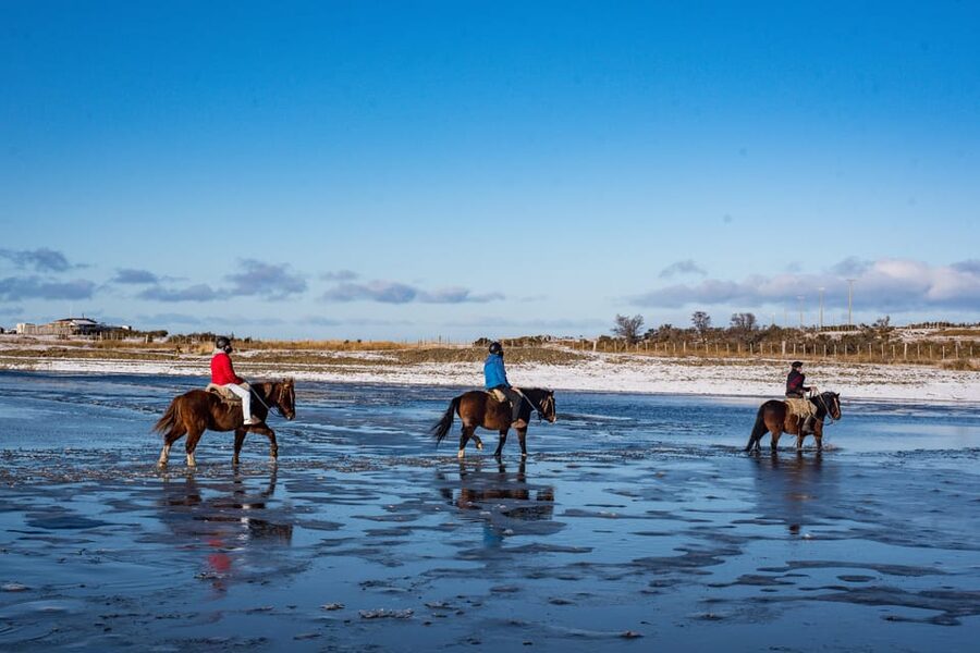 Horseback Riding near Strait of Magellan - The viewpoint over Tierra del Fuego