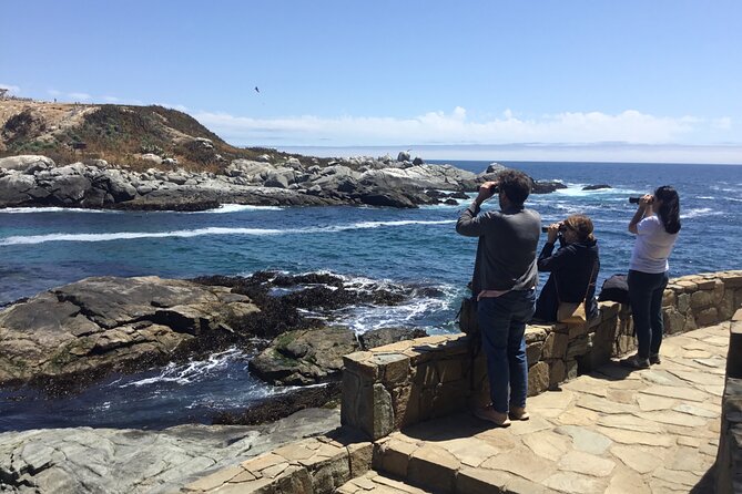 Horseback riding on beach, Winery, Alpacas, penguins & cowboyBBQ - Five reasons this Chile day trip is different