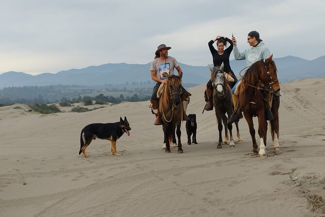 Horseback riding on beach, Winery, Alpacas, penguins & cowboyBBQ - Three hours on horseback at Ritoque