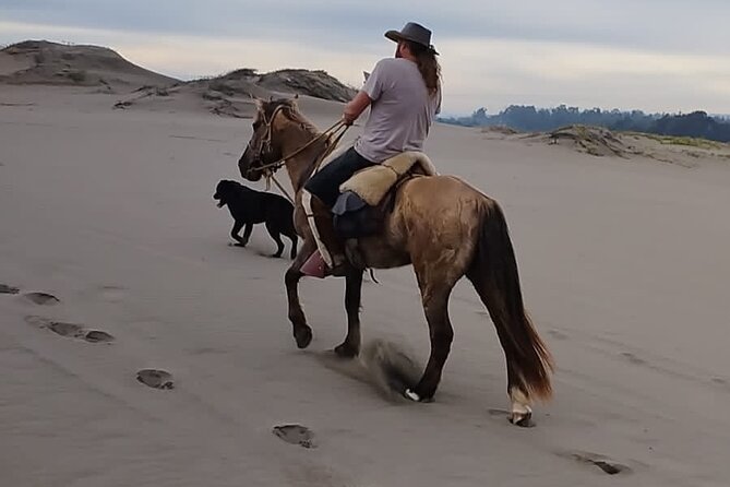 Horseback riding on beach, Winery, Alpacas, penguins & cowboyBBQ - A Patagonia-style cowboy BBQ at Playa Punta Piedra