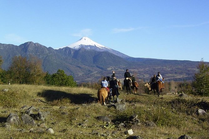 Horseback Trailride Excursion - Key points to know before you book